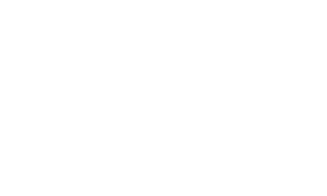 FirstNet Logo White