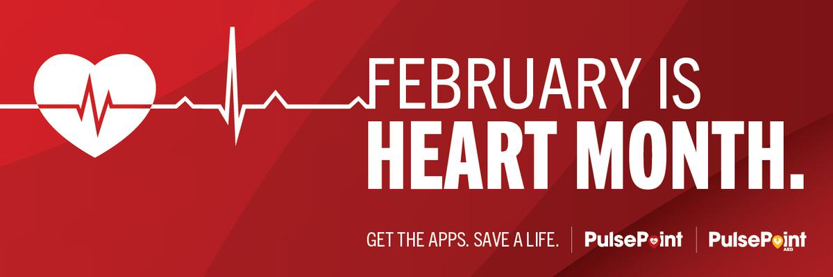 Image of PP 24 012 Heart Month Graphics Cover Image X 1500x500 F