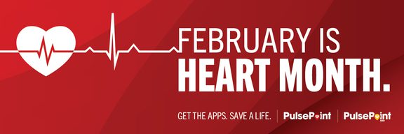 Image of PP 24 012 Heart Month Graphics Cover Image X 1500x500 F