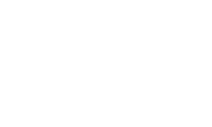 Image of Priority Dispatch logo white