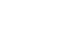Image of ProQA Paramount logo white