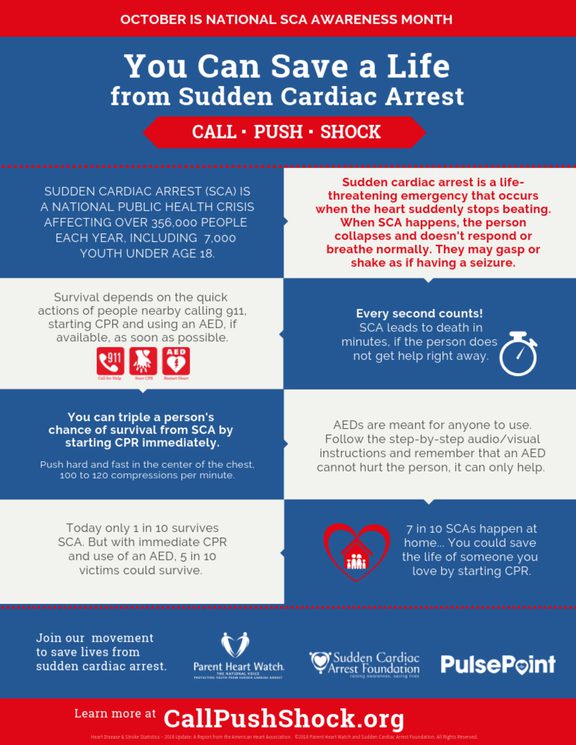 Image of CALLPUSHSHOCK Infographic