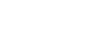 FirstNet Logo White