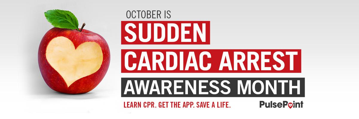 PulsePoint Heart Apple Twitter Banner 1500x500.