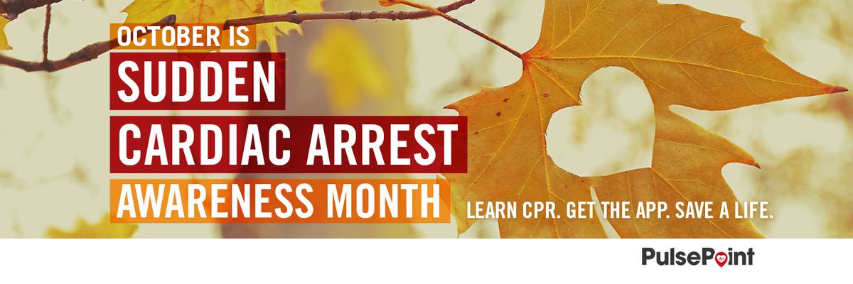 PulsePoint Heart Leaf Twitter Banner 1500x500.